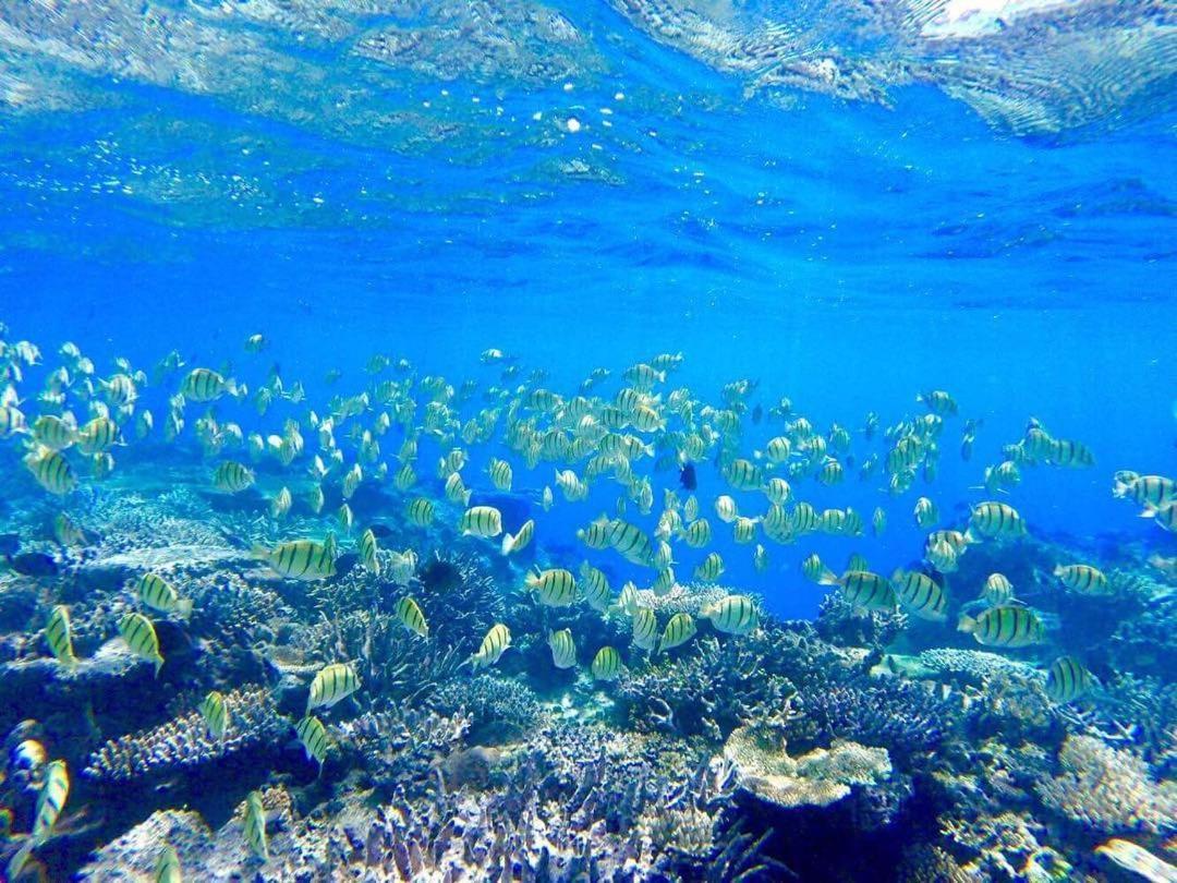 Korovou Eco Lodge Naviti Island ภายนอก รูปภาพ